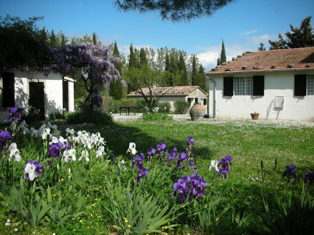 Vignagrande Agriturismo Saturnia Habitación foto